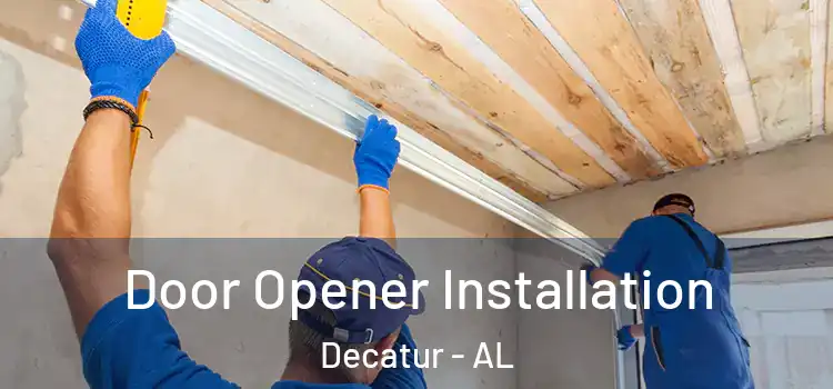  Door Opener Installation Decatur - AL