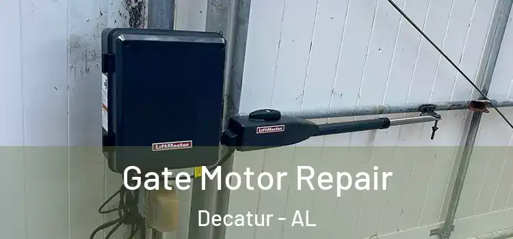 Gate Motor Repair Decatur - AL