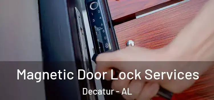 Magnetic Door Lock Services Decatur - AL